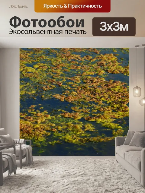 Фотообои Водоросли