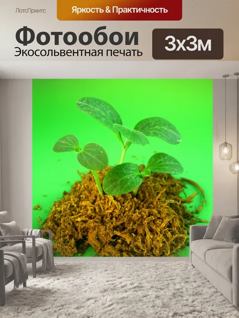 Фотообои Молодое дерево