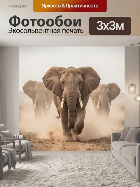 300 × 300 см · Экосольвентная печать