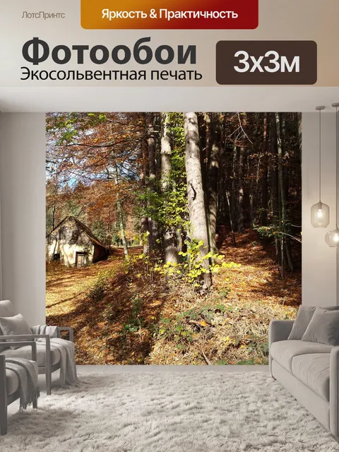 Фотообои Лес