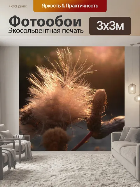 Фотообои Травы