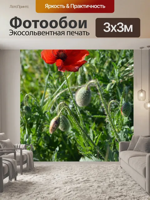 Фотообои Волк мак