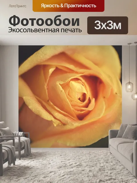 Фотообои Роза