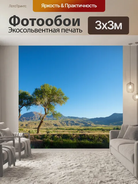 Фотообои Деревья Твин в Вайоминге Луг