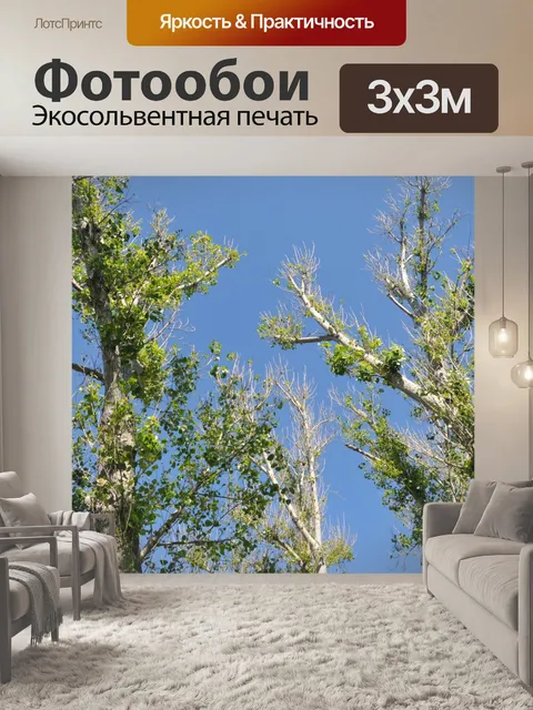 Фотообои Tree Tops и голубое небо