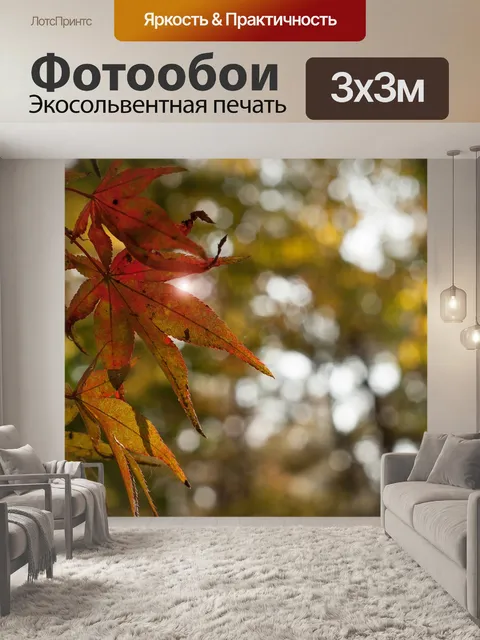 Фотообои Осенние листья