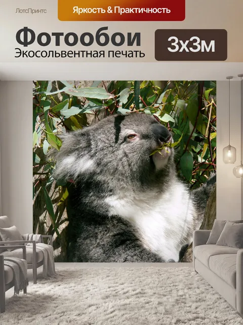 Фотообои Коала, поедающая листья