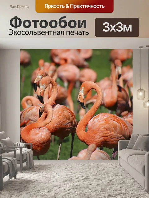 Фотообои Фламинго