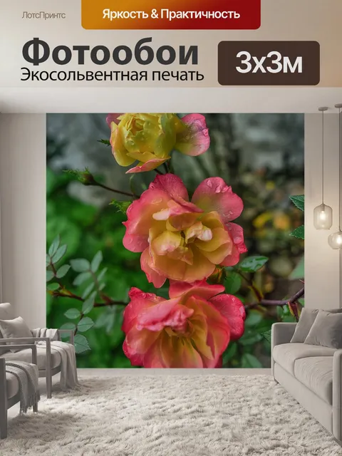 Фотообои Розы
