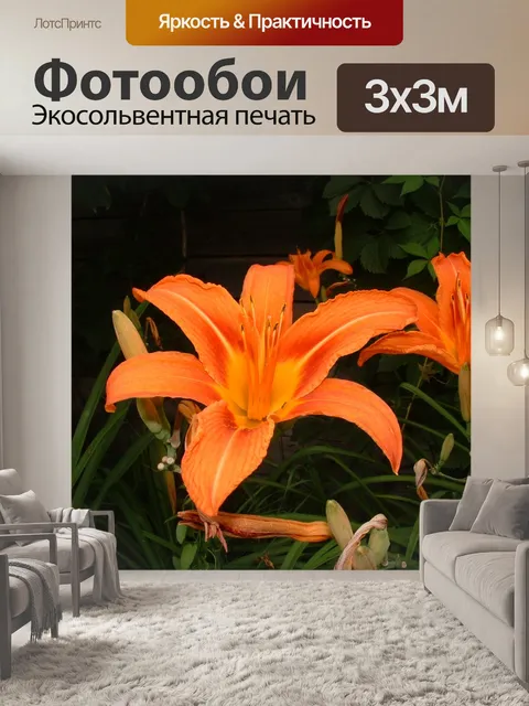 Фотообои Цветы