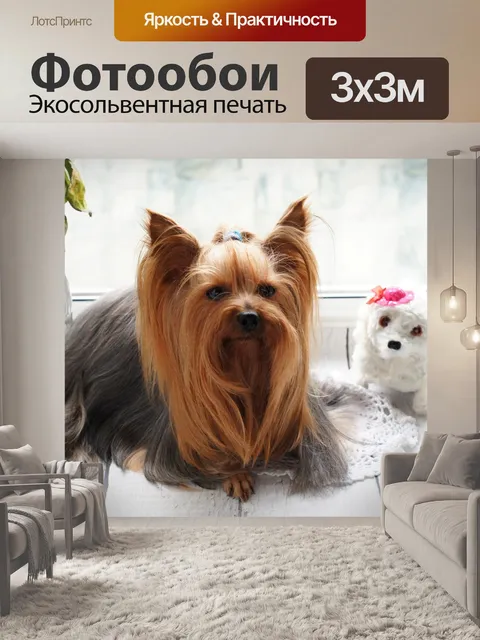 Фотообои Йорк