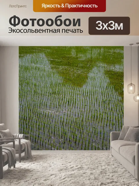 Фотообои Это