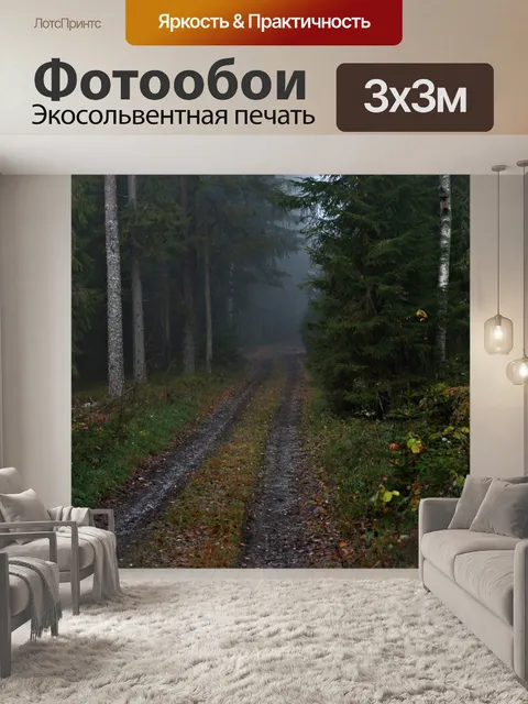 Фотообои Лесная дорога