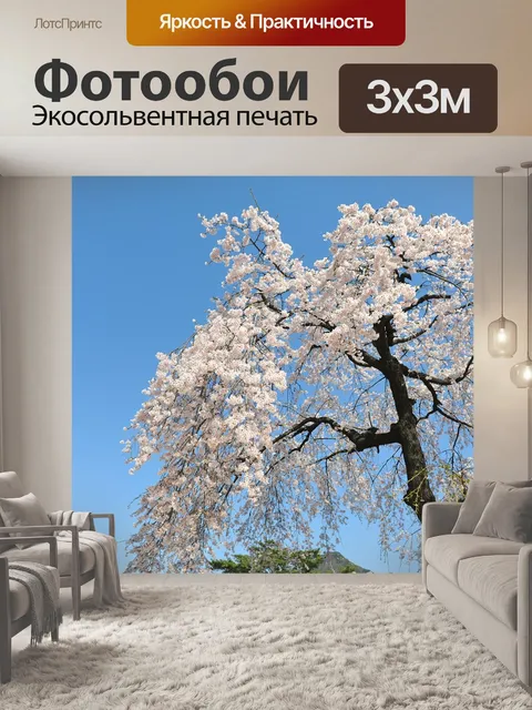 Фотообои Вишни в цвету