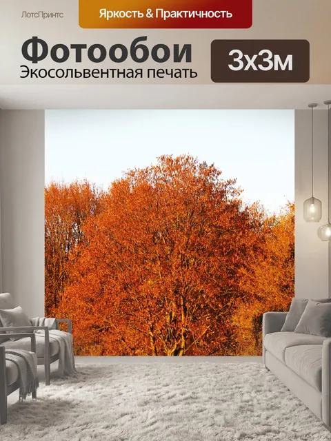 Фотообои Дерево