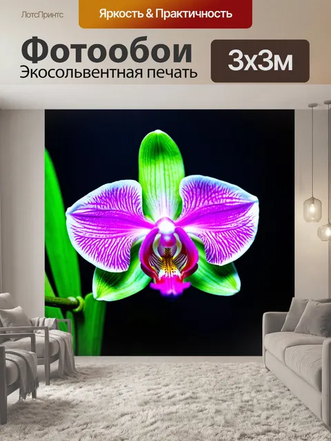 Фотообои орхидея в неоновом свете
