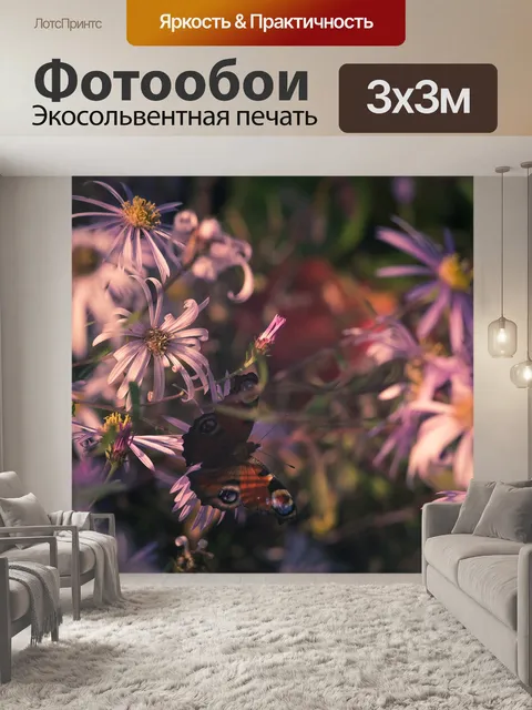 Фотообои Бабочка