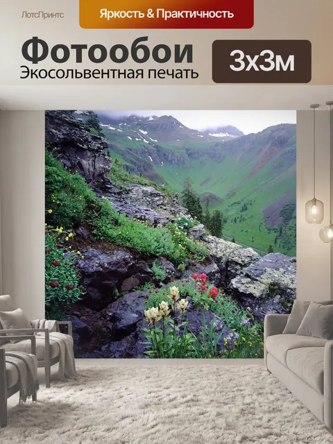 Фотообои Полевые цветы