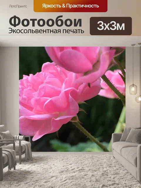 Фотообои Роза