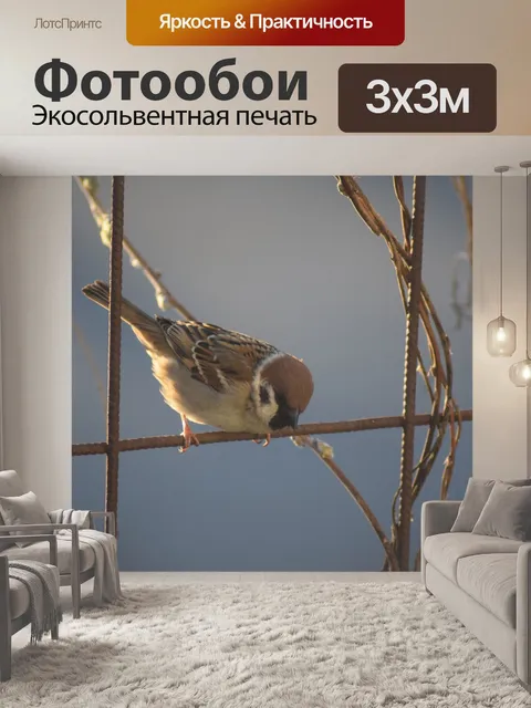 Фотообои Птица