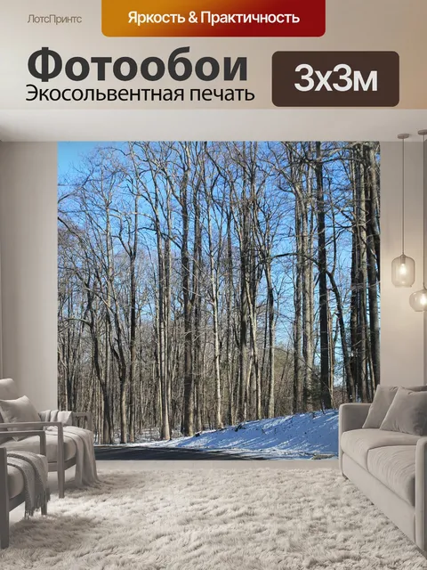 Фотообои Зима