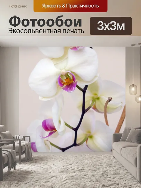 Фотообои Цветок орхидеи