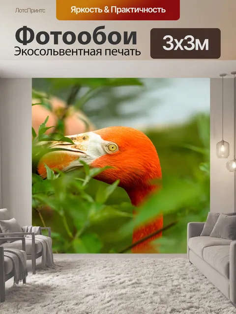 Фотообои Природа