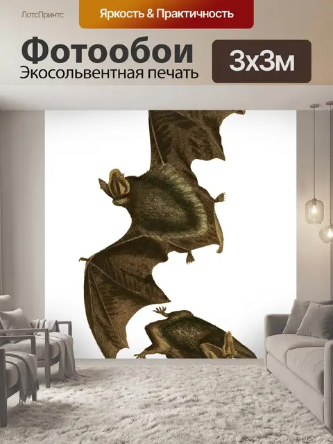 Фотообои Летучая мышь старинные художественные ил