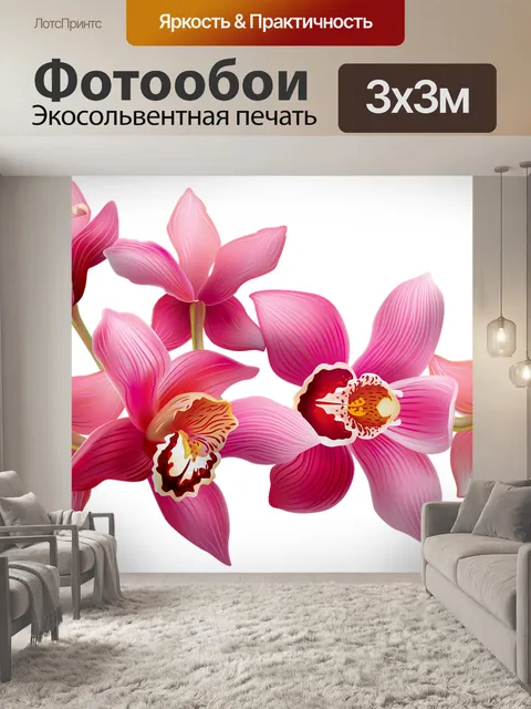 Фотообои Орхидеи