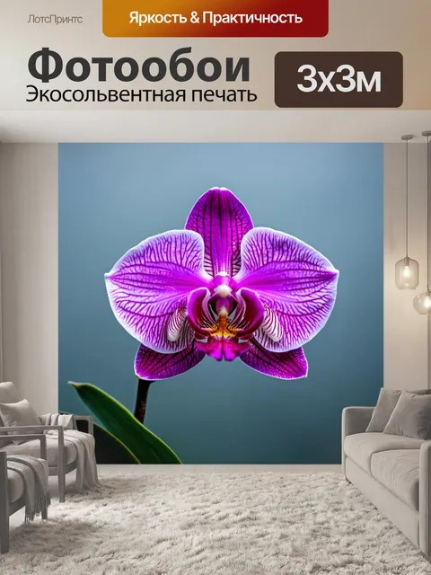 Фотообои орхидея с туманным фоном, таинственный атмосферный эффект