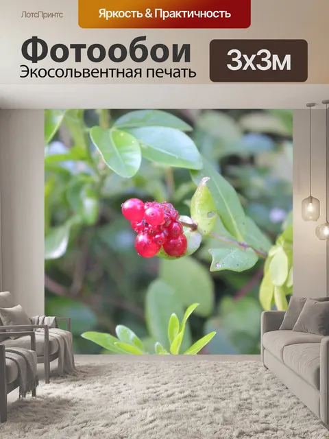Фотообои Лист