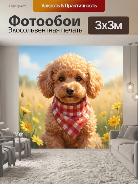 Фотообои Пудель в поле ромашек
