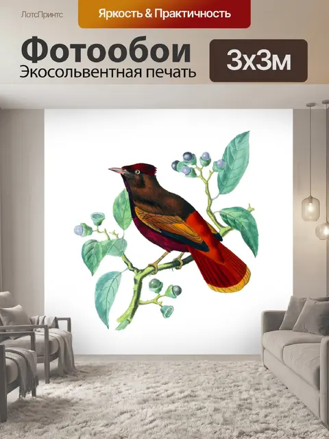 Фотообои Винтаж Клипарт Птица Цветы
