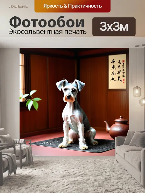 Фотообои воссоздайте сцену с китайской хохлатой собакой