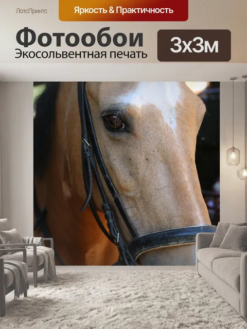 Фотообои Лошадь