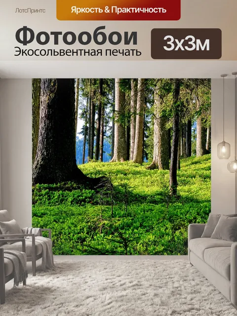 Фотообои Лес