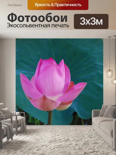 Фотообои Цветы