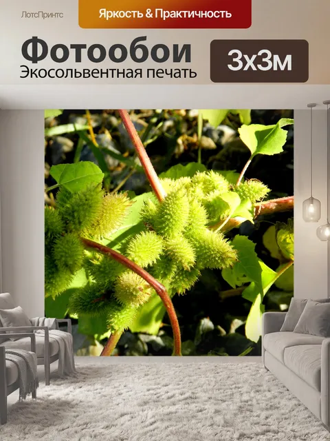 Фотообои Полевые цветы (16)
