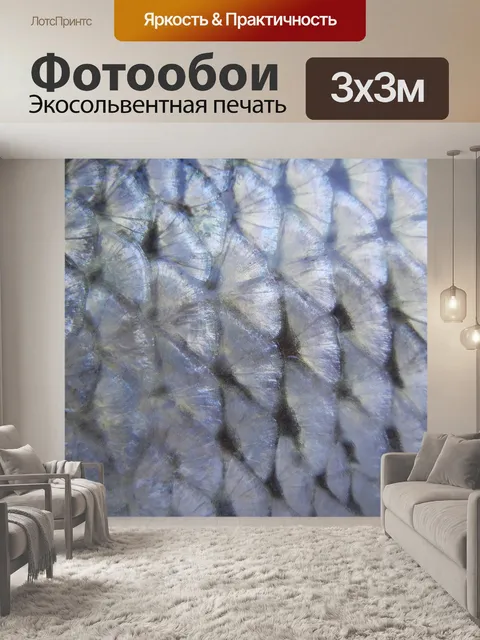 Фотообои Рыбы