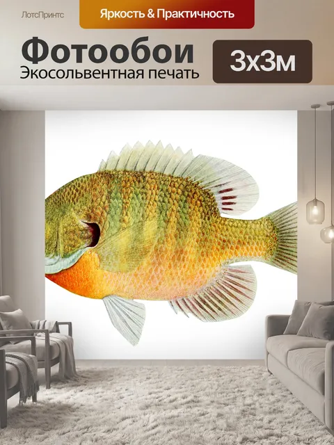 Фотообои Рыба тропический окунь арт