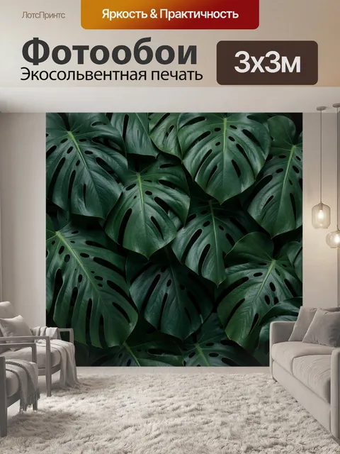 Фотообои Тропические листья монстеры