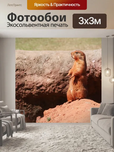 Фотообои Собака прерии стоя на насыпи
