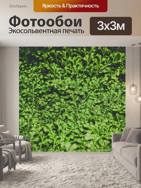 Фотообои листья папоротника зеленый фон