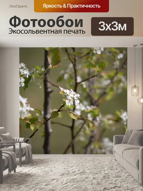 Фотообои Боке