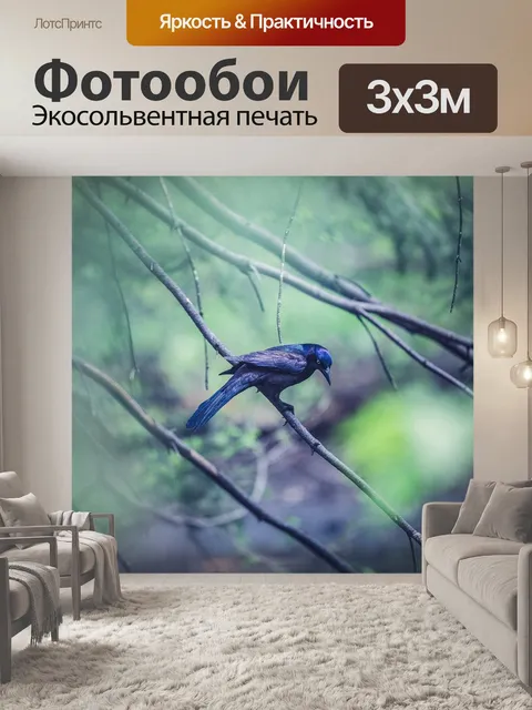 Фотообои Птица