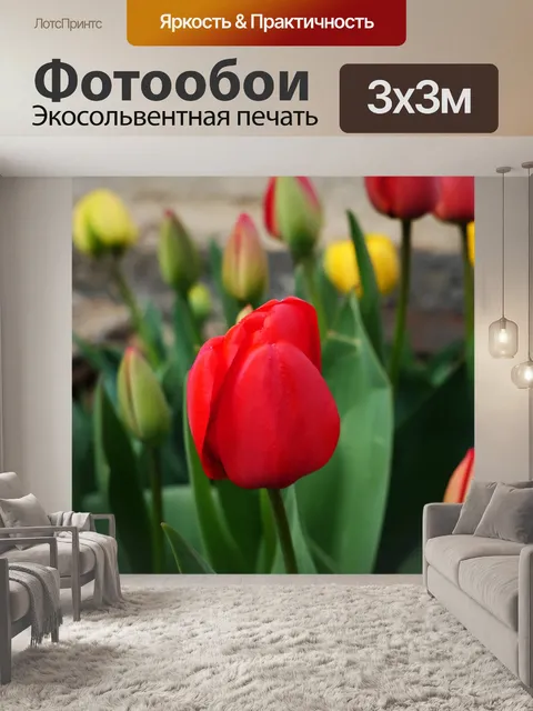 Фотообои Тюльпаны