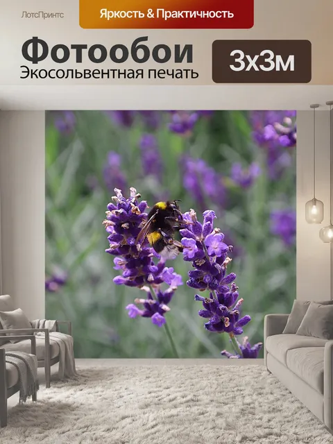 Фотообои Лаванда