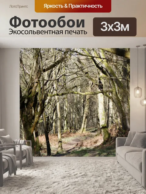 Фотообои Woodland Walk