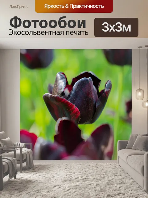 Фотообои Тюльпаны