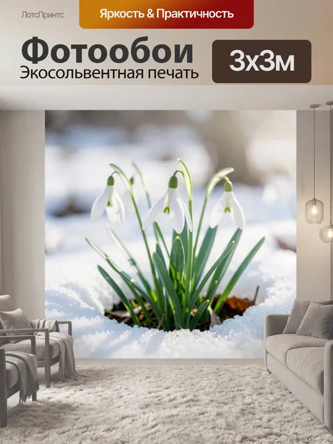 Фотообои Подснежники в снегу